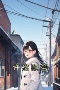 《许念顾笙》小说章节目录在线试