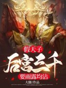 假天子，后宫三千要雨露均沾小说