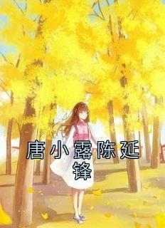 唐小露陈延锋