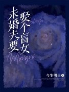 未婚夫要娶个盲女沈云顾明城完整