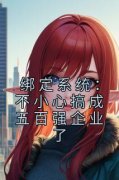 主角是绑定系统：不小心搞成五百