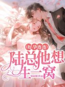 好孕连连：陆总他想生一窝主角顾