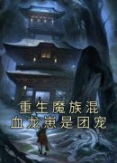 墨善安墨噬天重生魔族混血龙崽是