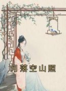 《月落空山照》小说章节目录在线