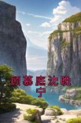 《顾慕庭沈晚宁》小说全文在线阅