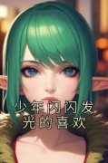 少年闪闪发光的喜欢小说全文免费