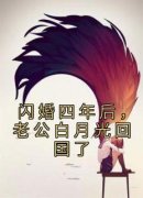 闪婚四年后，老公白月光回国了小