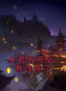 晚晚陆不袪阿恒小说 《夫君假死后
