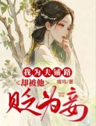 《我为夫铺路，却被他贬为妾》小
