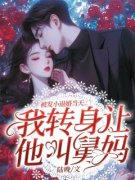 《陆安宁霍胤》小说章节免费阅读