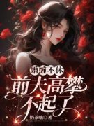 姜清挽裴彻婚缠不休：前夫高攀不