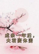 《成亲一年后，夫君要休妻》完结