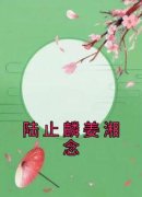 [陆止麟姜湘念]姜湘念陆止麟小说全