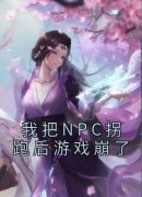 苏意沈慕白完整全文阅读 我把NPC拐