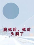 姜玥陆恒之我死后，死对头疯了小