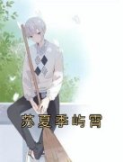 《苏夏季屿霄》小说章节免费阅读