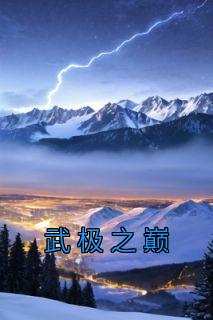 武极之巅