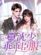 《夫人明撩暗诱，沈少乖乖臣服》