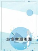 左言聿顾明澜全章节免费免费试读