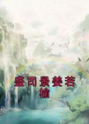 《姜若榆盛司景》小说完结版精彩