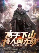 《高手下山：我人间无敌》小说全
