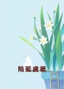 《陆延虞栀》小说完结版精彩试读