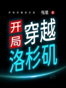 《张俊喆郑秀妍》开局穿越洛杉矶