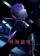 《林微裴夜》小说章节目录在线试
