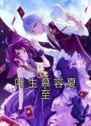 叶生慕容夏至小说全文精彩章节免