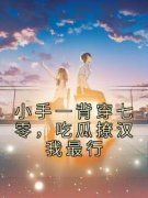 小说《黎清歌黎明》小手一背穿七