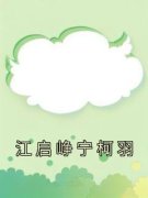 《江启峥宁柯羽》小说全文精彩阅