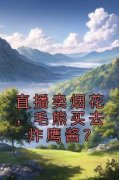 苏奇黄鹤名全文免费阅读 直播卖烟