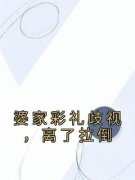 《王娟林堂》小说免费阅读 婆家彩