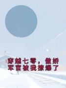 穿越七零，傲娇军官被我撩爆了苏