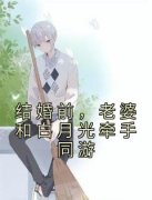 《季铭苏漫》完结版免费试读 《季