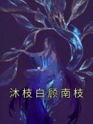 顾南枝沐枝白沐枝白顾南枝小说阅