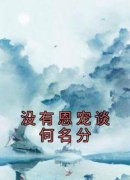 《没有恩宠谈何名分》小说章节目