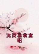 沈灵昙裴宴昭》精彩章节列表在线