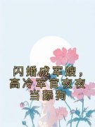 《闪婚成军嫂，高冷军官夜夜当舔