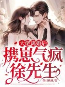 《大佬离婚后，携崽气疯徐先生》