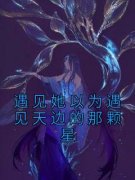 《遇见她以为遇见天边的那颗星》