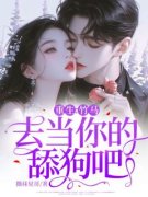 主角是夏思琪周东伟的小说 《重生