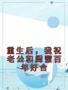 《谭茗心叶铭兴》小说章节列表免