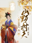 重生和离后，我二婚山野村夫完整
