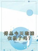 《傅总今天跪搓衣板了吗？》小说