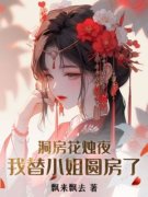 《洞房花烛夜，我替小姐圆房了》