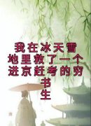 《林晚许墨》小说章节在线阅读 我