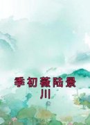 《季初薇陆景川》完结版免费试读