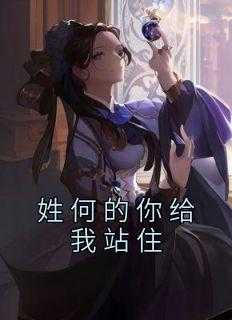 姓何的你给我站住
