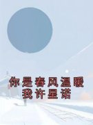 《许星诺孟今安》小说章节精彩试